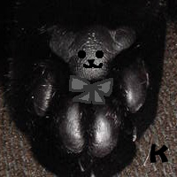20051011K