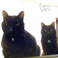 kn