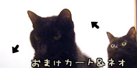 omake KN