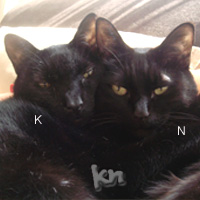 KN