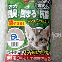 猫砂