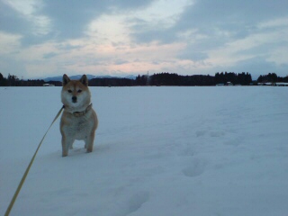 20110215204929.jpg