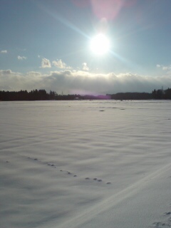 20110215210911.jpg