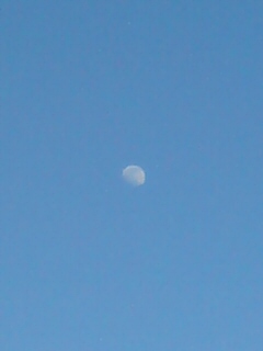 20110215210941.jpg