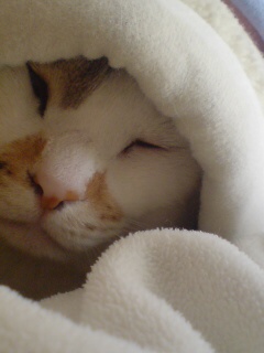 20110227165825.jpg