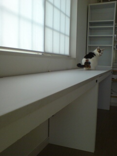 20110227165901.jpg