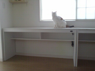 20110227165932.jpg