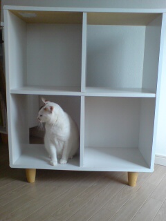 20110227170033.jpg
