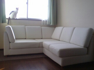 20110227170215.jpg