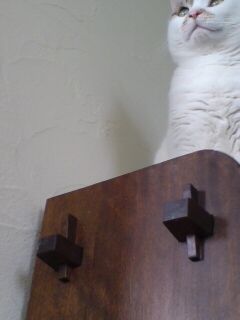 20110227170647.jpg