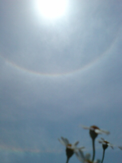 20110522144005.jpg