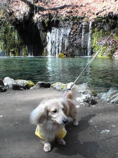20060428_15127.jpg