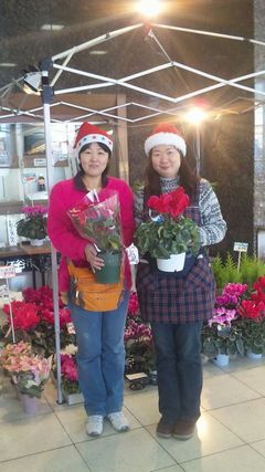 岩五さんと