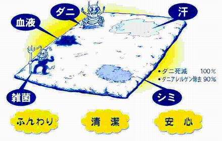 丸洗いバイキン