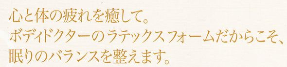 ラテックスレギュラー説明文