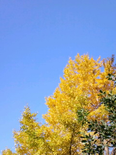 CA3G30440001.jpg