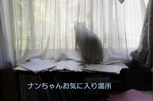 bl354.jpg
