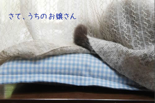 bl359.jpg