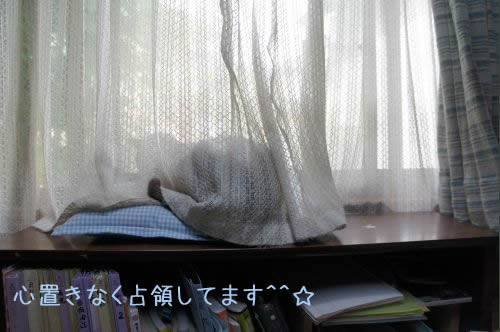 bl360.jpg