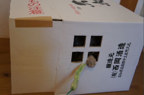 bl409.jpg