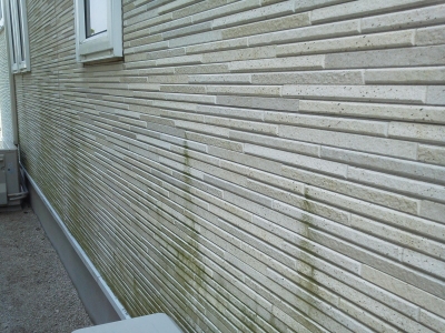 DCIM0031.JPG
