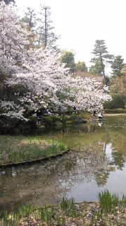 2011041111390010002.jpg