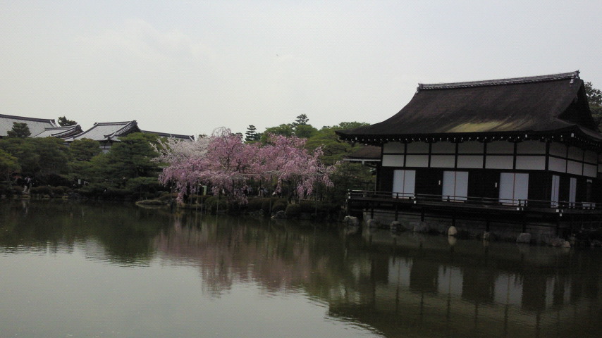 201104111204000.jpg