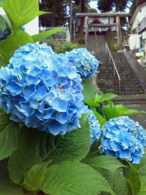2011062806290000.jpg