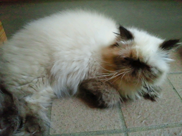 2010090517150000.jpg
