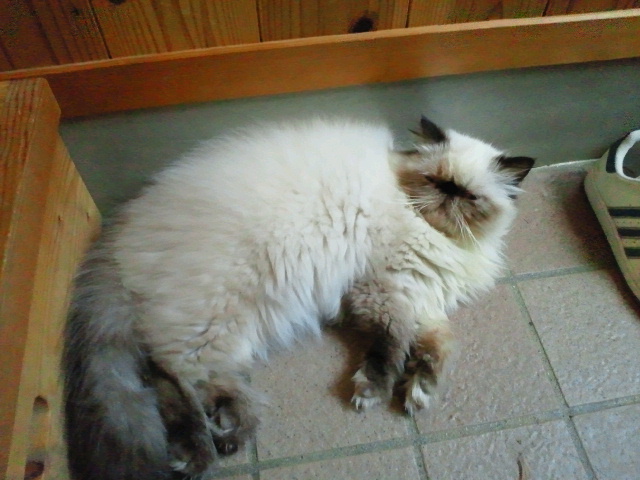 2010090517160000.jpg