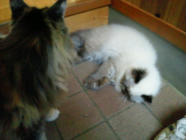 2010090517160001.jpg