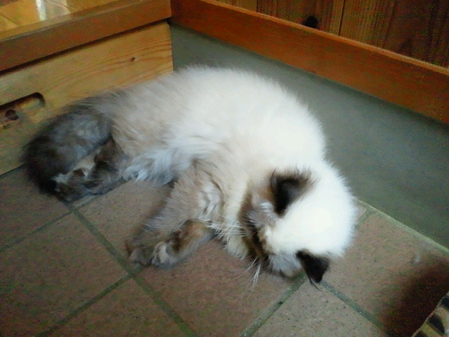 2010090517160002.jpg