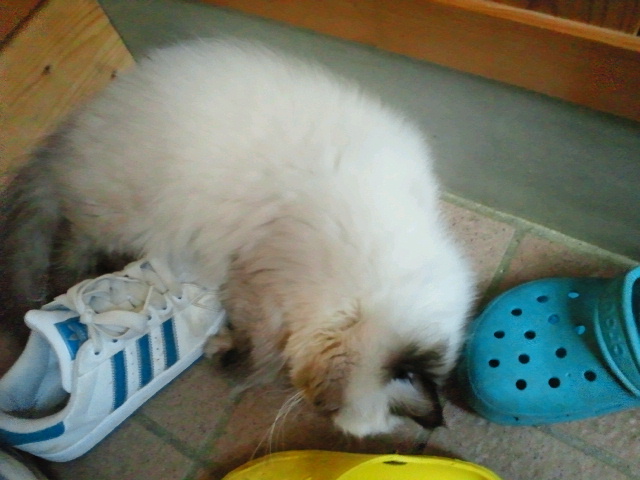 2010090517170000.jpg
