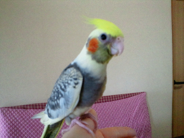 2012041108410000.jpg
