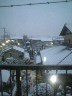20060207_57267.jpg