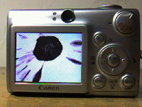±Õ¾½¥â¥Ë¥¿¡¼³ä¤ì¤Æ¤ëYO¡ª¡ª
