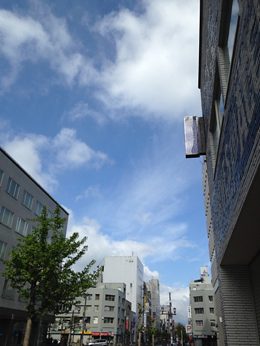 IMG_1681.jpg