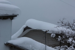 雪庇