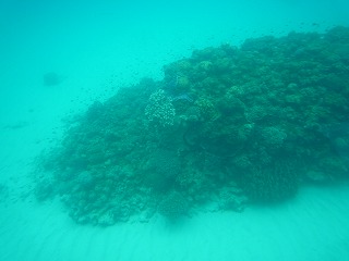 P1120471.jpg