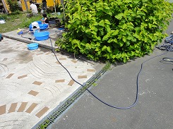 DSC06146.jpg