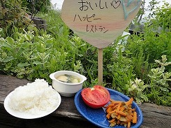 DSC06499.jpg