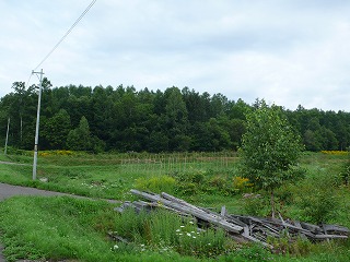 P1020208.jpg