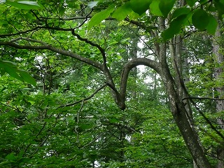 P1020213.jpg
