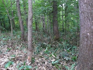 P1020256.jpg