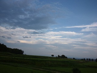DSC_0534.jpg