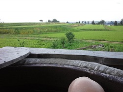 DSC_0531.jpg