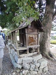 DSC07878.jpg