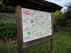 DSC07942.jpg
