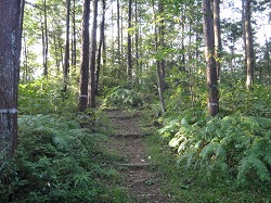 DSC07975.jpg
