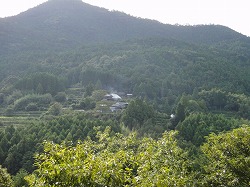 DSC07996.jpg